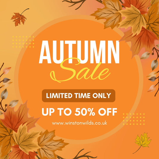 Autumn Sale 2025 is here!