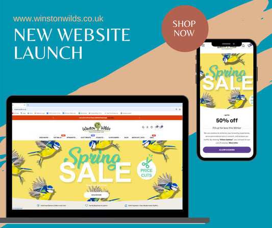 NEW Website launch event