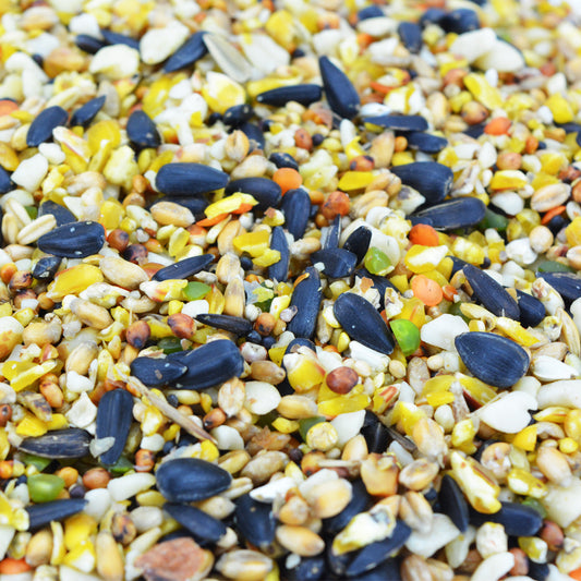 Superior Extra Seed Mix