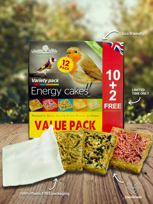 Variety Energy Cakes