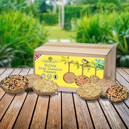 24 Variety Suet Coco Feeders