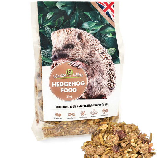 Hedgehog Food
