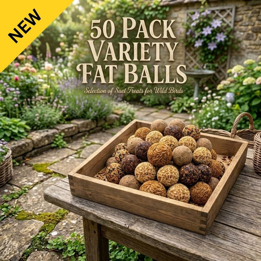 Premium 50-Pack Variety Fat Balls