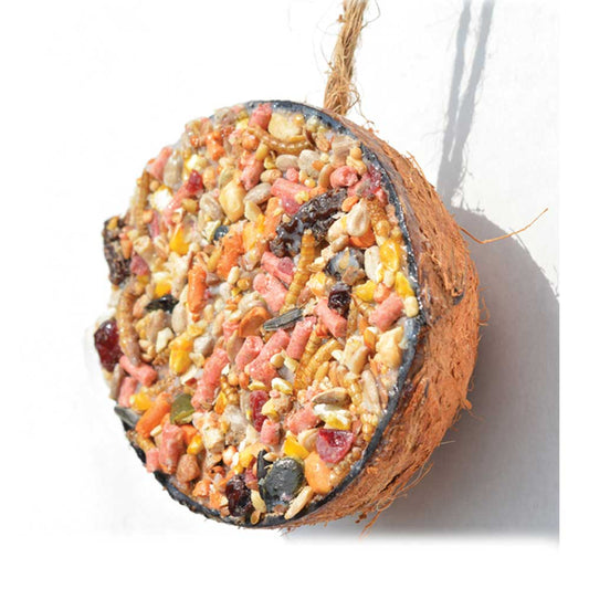 Suet Coco Feeders