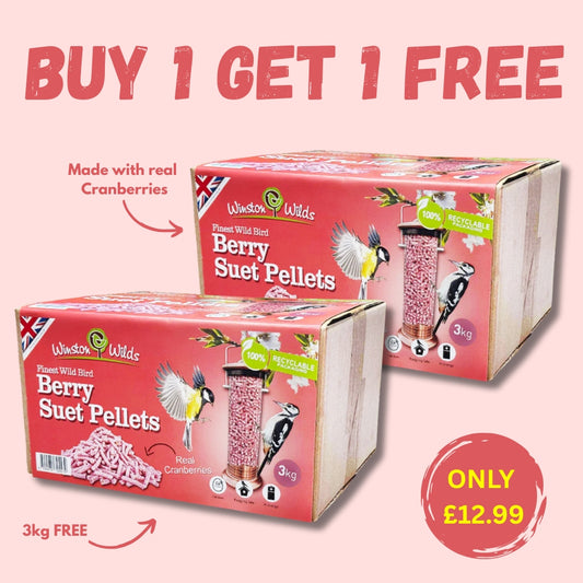 3kg Berry Suet Pellets + 3Kg FREE