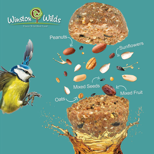 Classic Premium Fat Balls