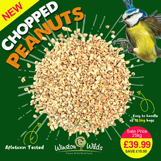 Chopped Peanuts / Nibs