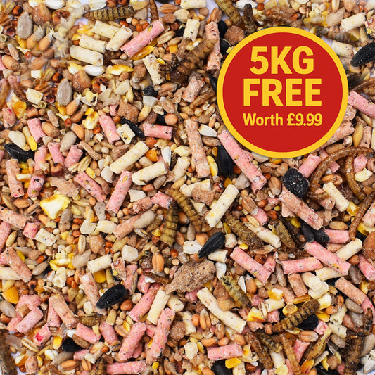 20kg + 5kg FREE Deluxe Seed Mix