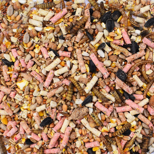 20kg + 5kg FREE Deluxe Seed Mix