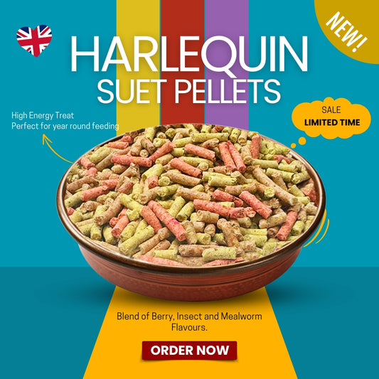 12.5kg Harlequin Suet Pellets