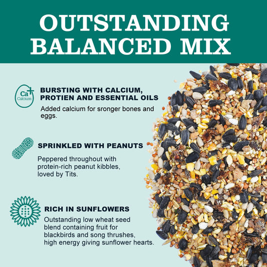 20kg Premium Seed Mix