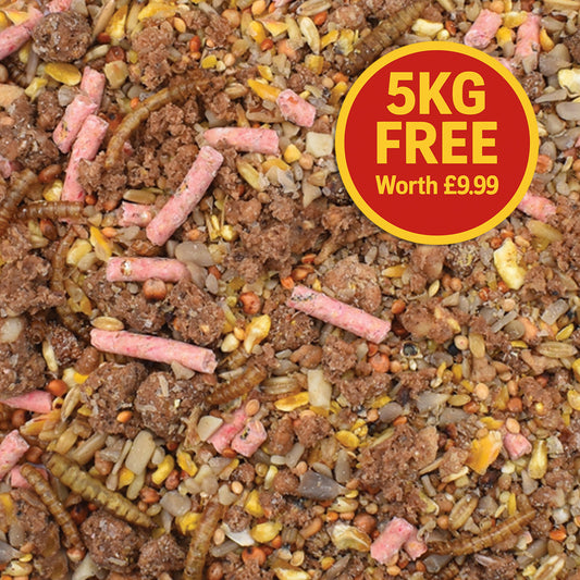20kg + 5kg FREE Robin & Songbird Mix
