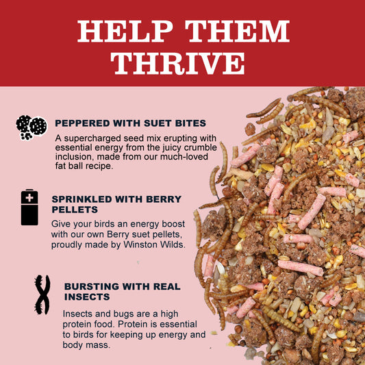 20kg + 5kg FREE Robin & Songbird Mix