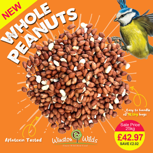 25kg Wild Bird Peanuts