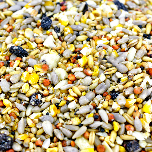 20kg No Waste Extra Seed Mix