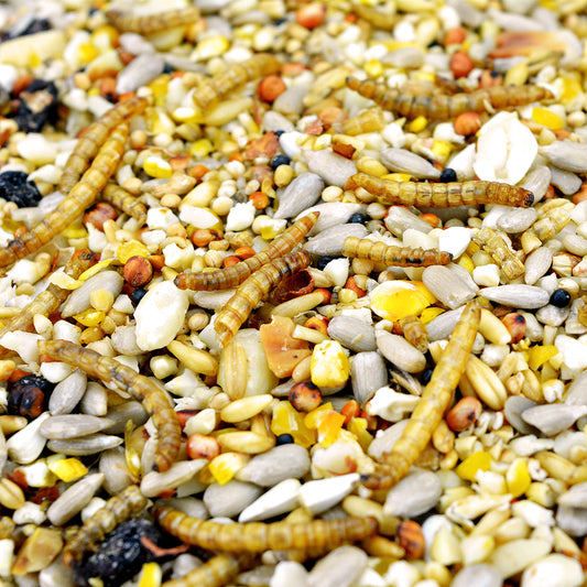 Seed and Mealworm Seed Mix
