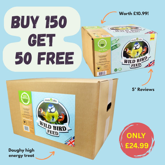 150 Classic Fat Balls + 50 Eco Refill FREE