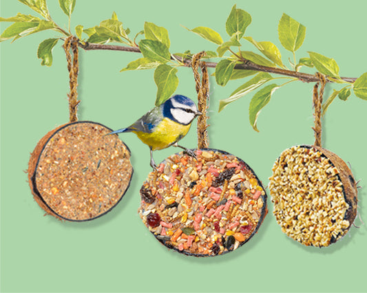 24 Variety Suet Coco Feeders