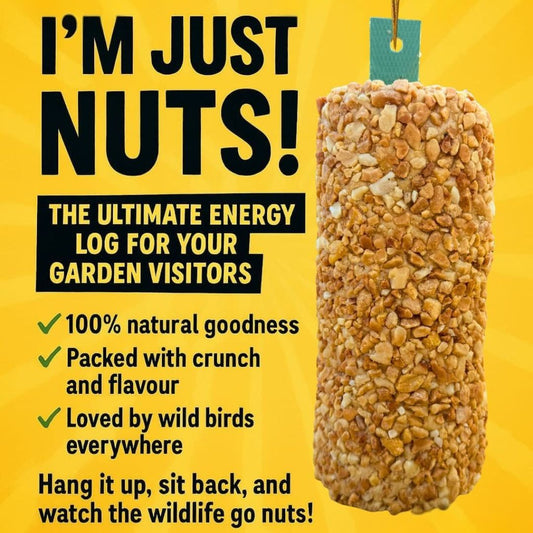 I'm Just Nuts Energy Log
