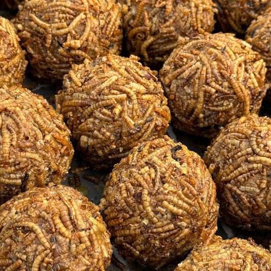 150 Mealworm Fat Balls