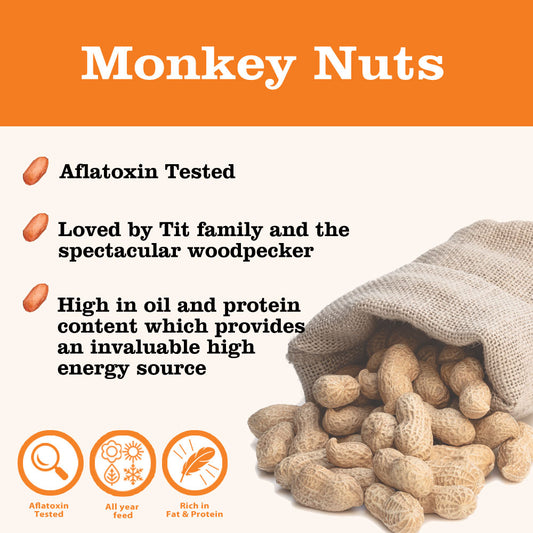 Monkey Nuts