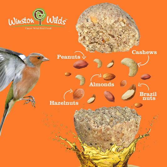 I'm Just Nuts Fat Balls