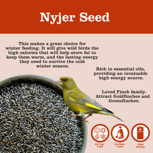 Nyjer Seed