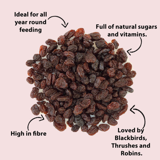 Raisins 400g