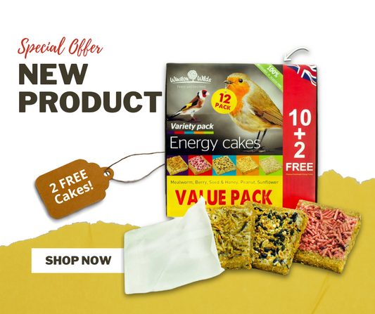 NEW product launch!
