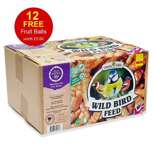 50 Mealworm Fat Balls Eco Refill