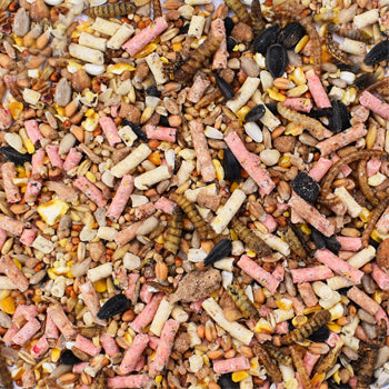20kg Deluxe Seed Mix