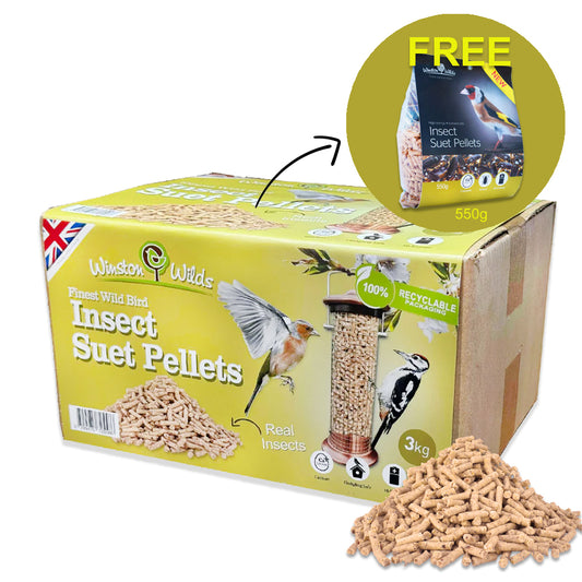 3kg Insect Suet Pellets + 550g FREE