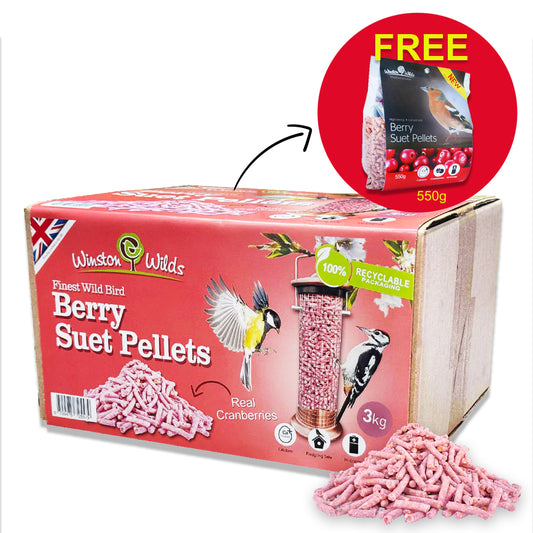 3kg Berry Suet Pellets + 550g FREE