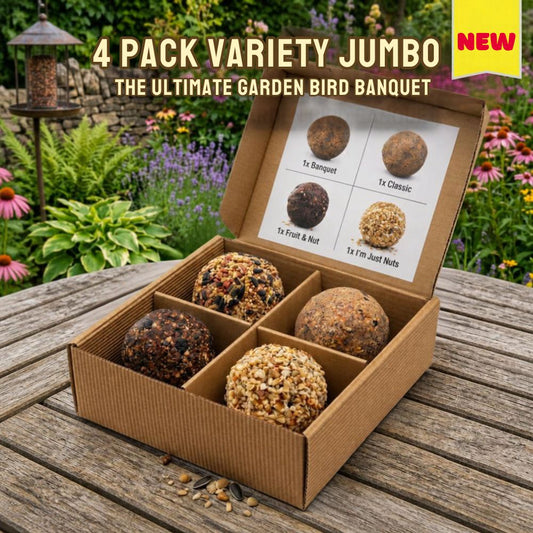 4 Pack Variety Jumbo Fat Balls
