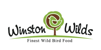 Winston Wilds