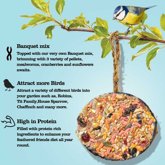 Suet Coco Feeders