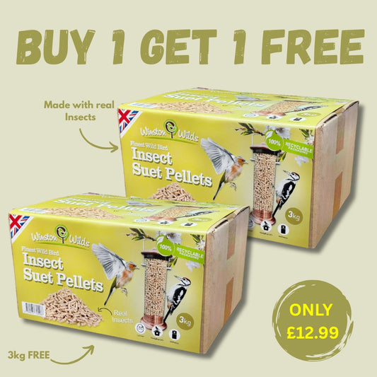 3kg Insect Suet Pellets + 3Kg FREE