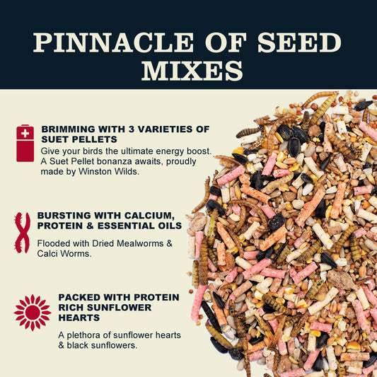 20kg Deluxe Seed Mix