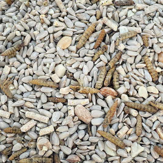 No Grow Seed Mix