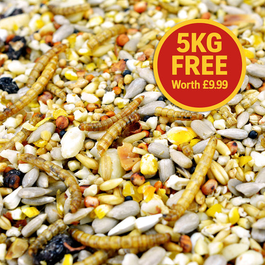 20kg + 5kg FREE Seed & Mealworm
