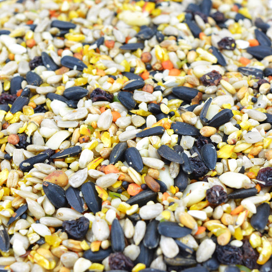 20kg Premium Seed Mix