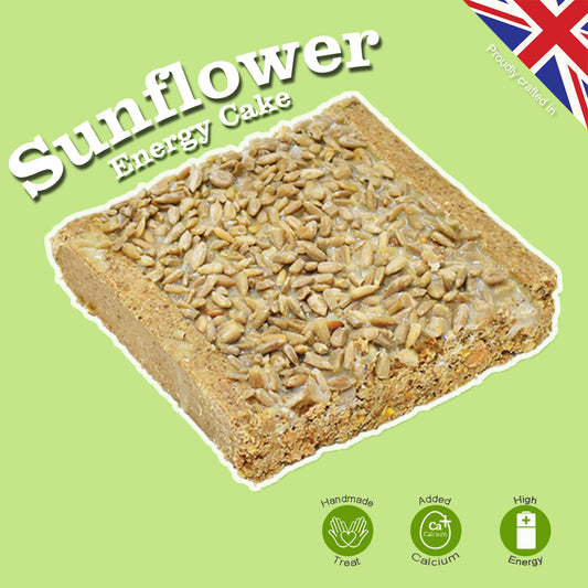 Energy Cakes