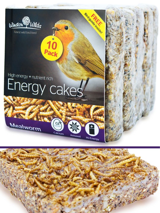 10 Pack Mealworm Energy Cake