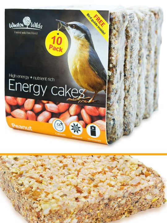 10 Pack Peanut Energy Cake 