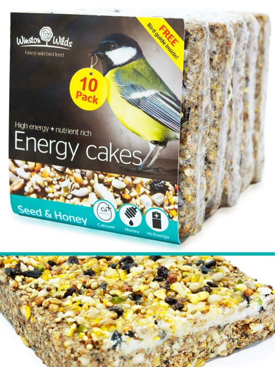 10 Pack Seed & Honey Energy Cake