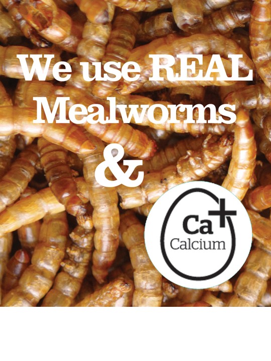 550g Mealworm Suet Pellets