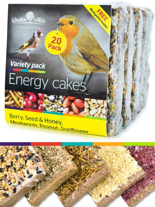 20 Pack Variety Energy Cakes
