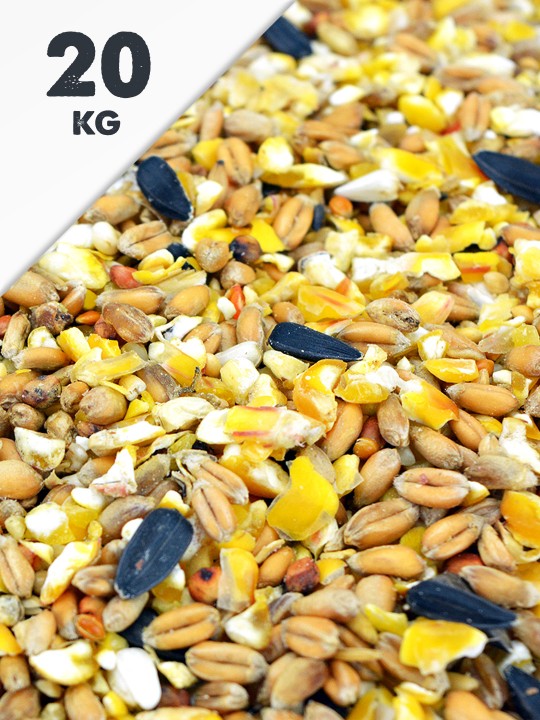 20kg Budget Seed Mix