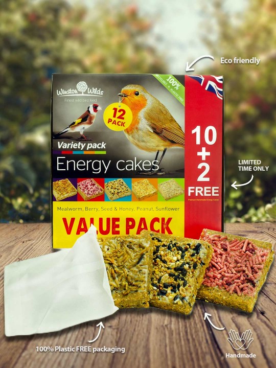 10+2 FREE Pack Variety Energy Cakes