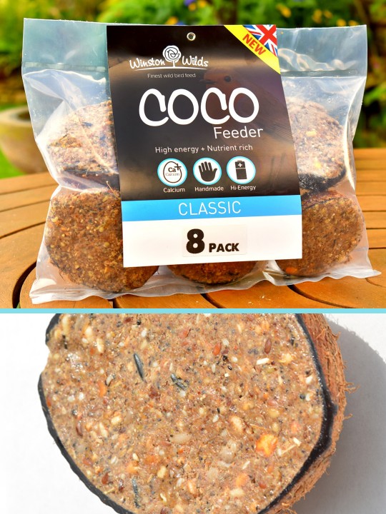 8 Pack Classic CoCo Feeder